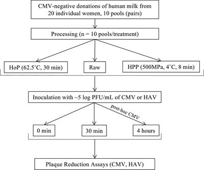 Preservation of Anti-cytomegalovirus Activity in Human Milk Following High-Pressure Processing Compared to Holder Pasteurization